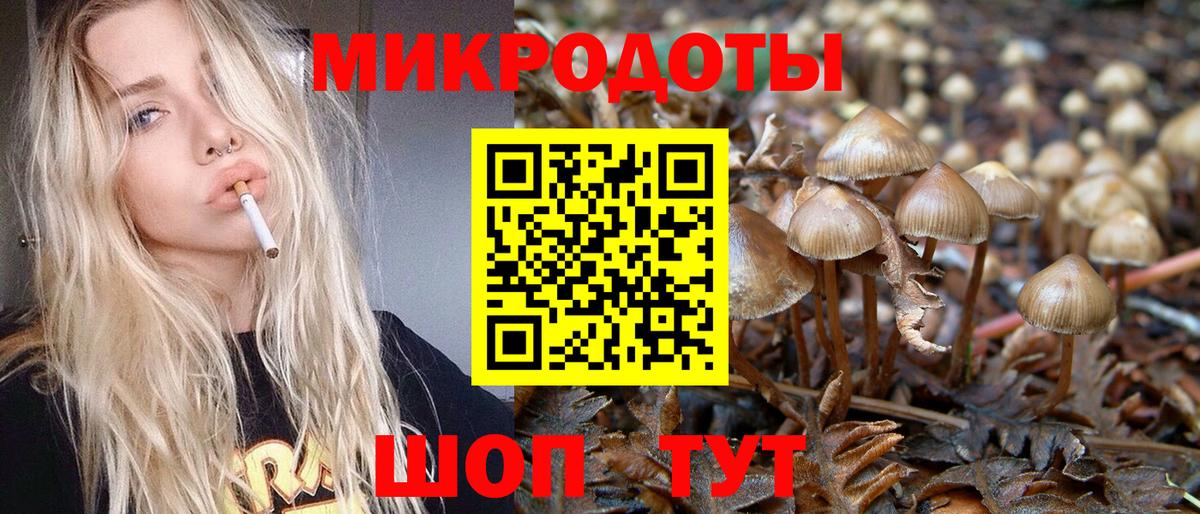 Полевской  Галлюциногенные грибы Magic Shrooms  Вход с VPN 